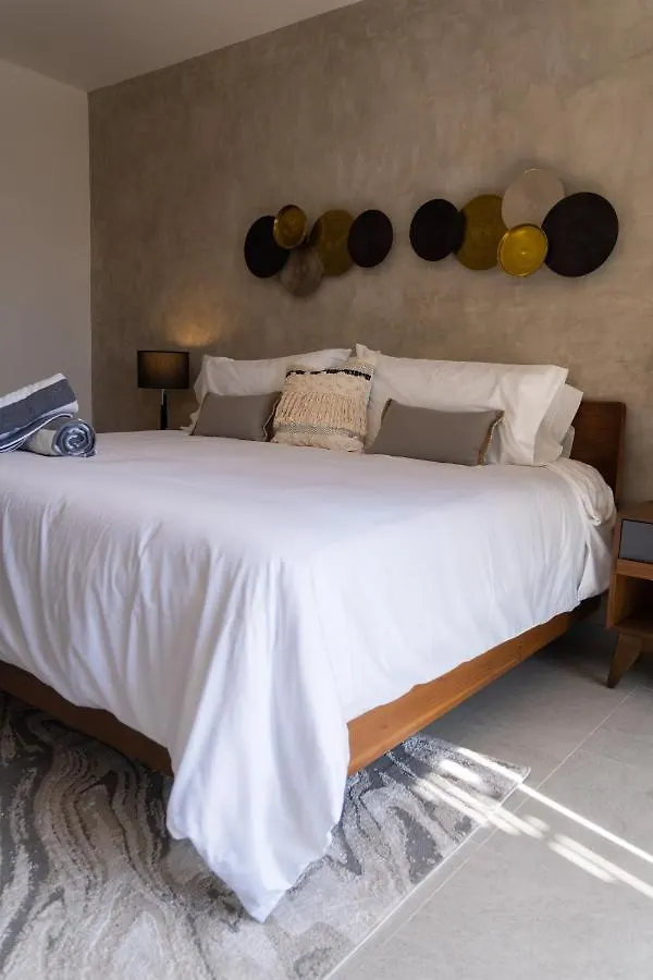 Fancy 3 Bedroom Apartments In Downtown Playa Rooftop Pool Gym Playa del Carmen