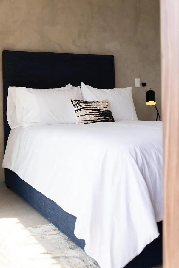 Fancy 3 Bedroom Apartments In Downtown Playa Rooftop Pool Gym Playa del Carmen Meksyk