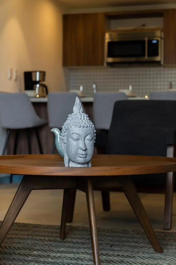 Fancy 3 Bedroom Apartments In Downtown Playa Rooftop Pool Gym Playa del Carmen Meksyk