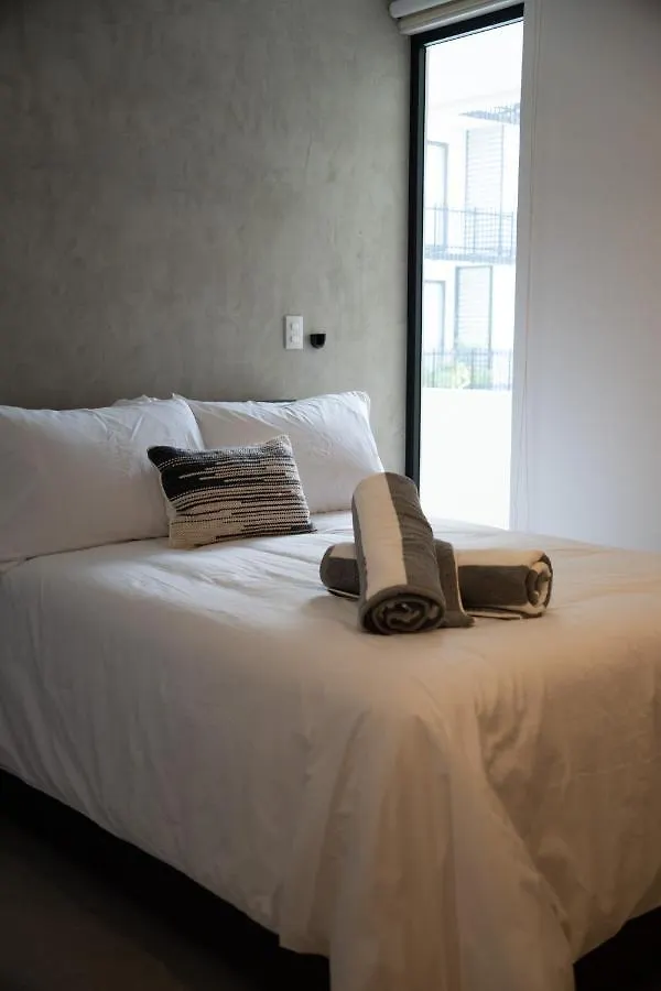 Fancy 3 Bedroom Apartments In Downtown Playa Rooftop Pool Gym Playa del Carmen