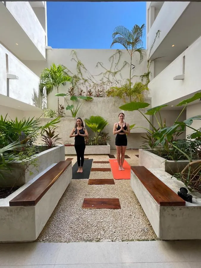 Fancy 3 Bedroom Apartments In Downtown Playa Rooftop Pool Gym Playa del Carmen