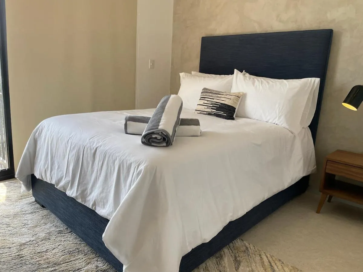 Fancy 3 Bedroom Apartments In Downtown Playa Rooftop Pool Gym Playa del Carmen