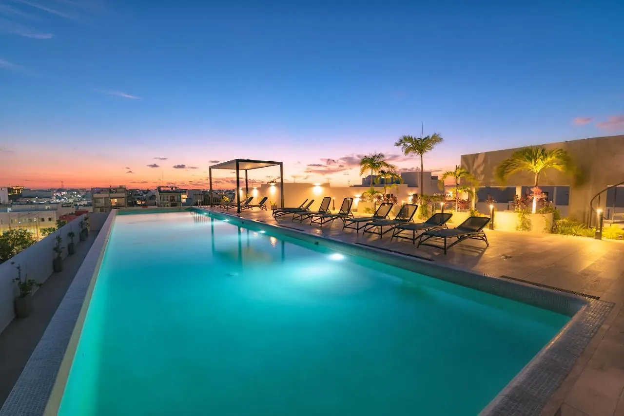 Fancy 3 Bedroom Apartments In Downtown Playa Rooftop Pool Gym Playa del Carmen Mexico