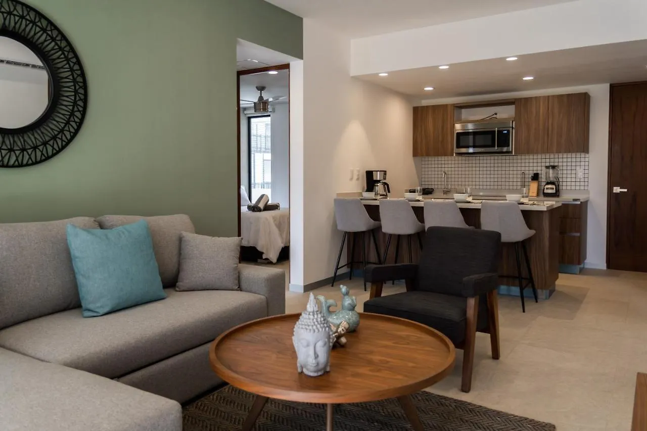 Fancy 3 Bedroom Apartments In Downtown Playa Rooftop Pool Gym Playa del Carmen