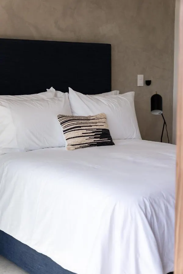 Fancy 3 Bedroom Apartments In Downtown Playa Rooftop Pool Gym Playa del Carmen 0*,  Mexico