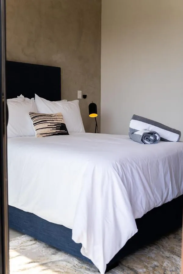Fancy 3 Bedroom Apartments In Downtown Playa Rooftop Pool Gym Playa del Carmen