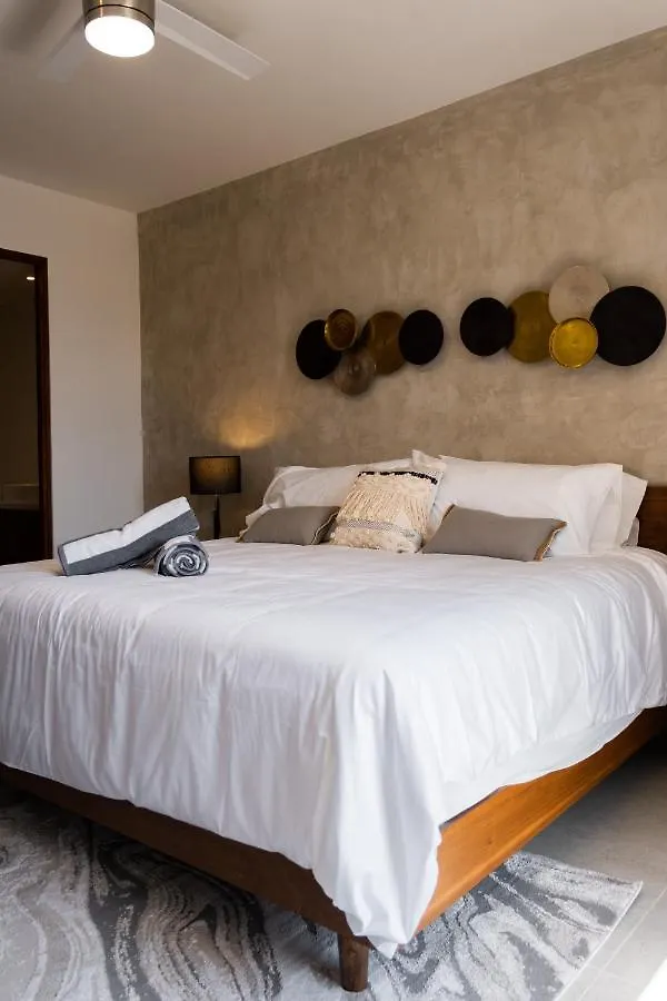 Fancy 3 Bedroom Apartments In Downtown Playa Rooftop Pool Gym Playa del Carmen Mexico