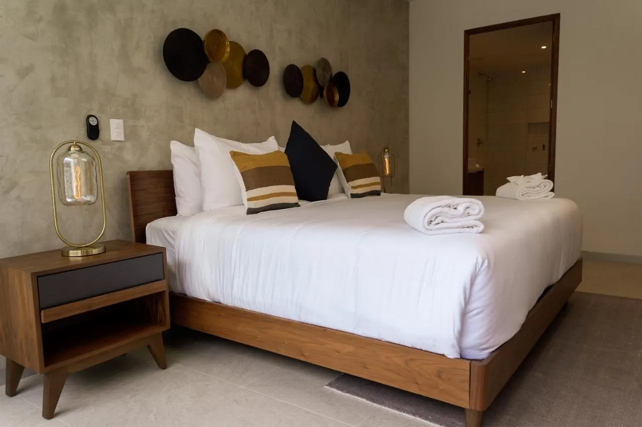 Fancy 3 Bedroom Apartments In Downtown Playa Rooftop Pool Gym Playa del Carmen