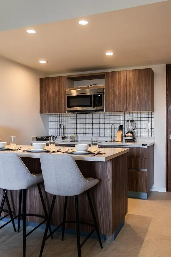 Fancy 3 Bedroom Apartments In Downtown Playa Rooftop Pool Gym Playa del Carmen