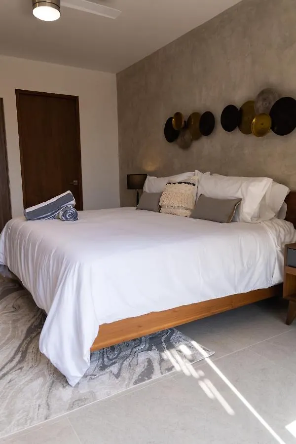 Fancy 3 Bedroom Apartments In Downtown Playa Rooftop Pool Gym Playa del Carmen