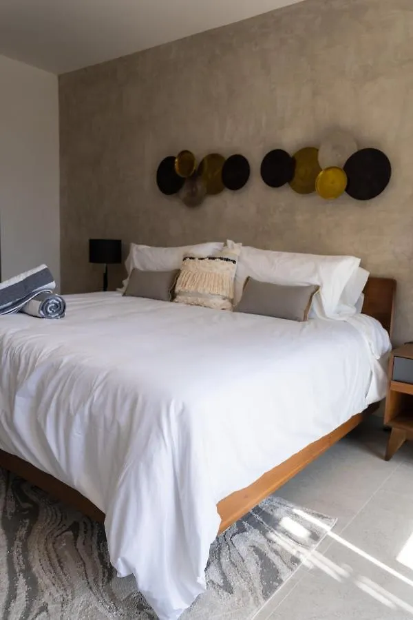Fancy 3 Bedroom Apartments In Downtown Playa Rooftop Pool Gym Playa del Carmen