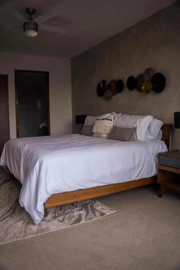 Fancy 3 Bedroom Apartments In Downtown Playa Rooftop Pool Gym Playa del Carmen
