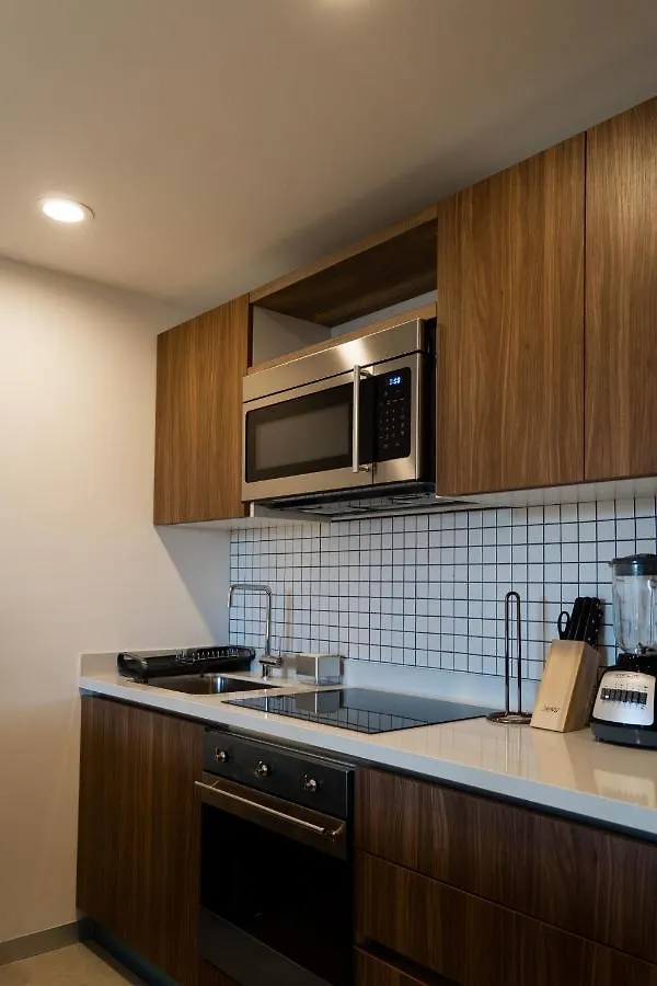 Fancy 3 Bedroom Apartments In Downtown Playa Rooftop Pool Gym Playa del Carmen 0*,  Mexico