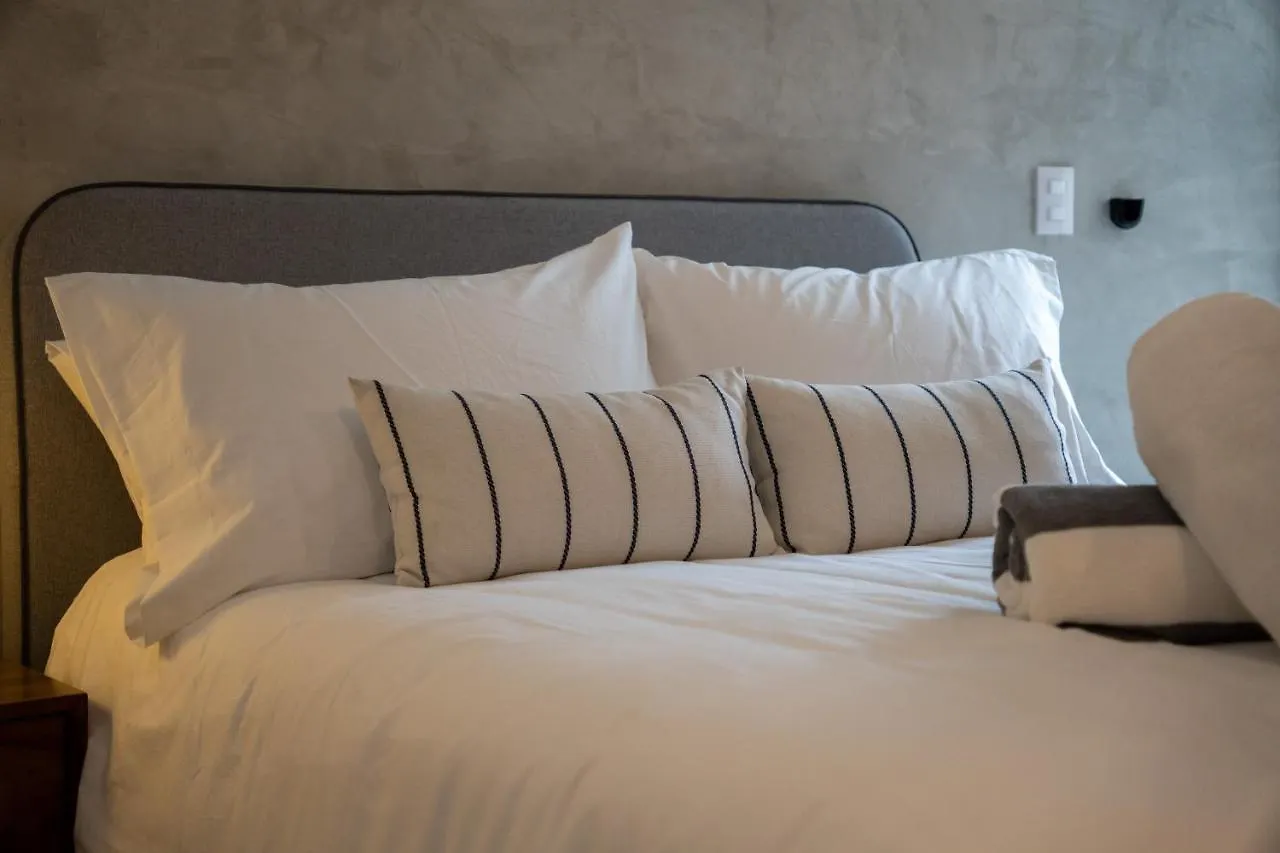 Fancy 3 Bedroom Apartments In Downtown Playa Rooftop Pool Gym Playa del Carmen