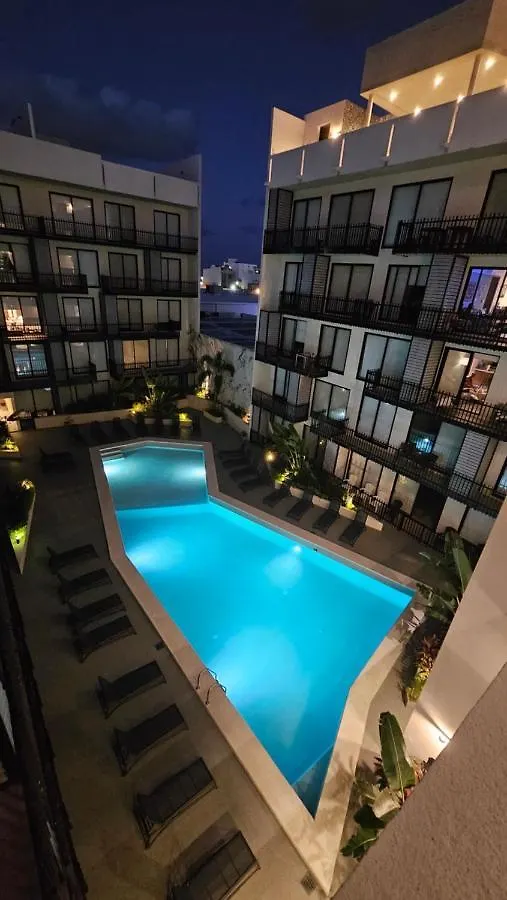 Fancy 3 Bedroom Apartments In Downtown Playa Rooftop Pool Gym Playa del Carmen
