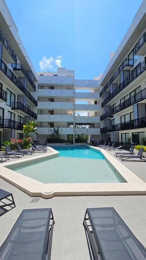 Fancy 3 Bedroom Apartments In Downtown Playa Rooftop Pool Gym Playa del Carmen Mexico