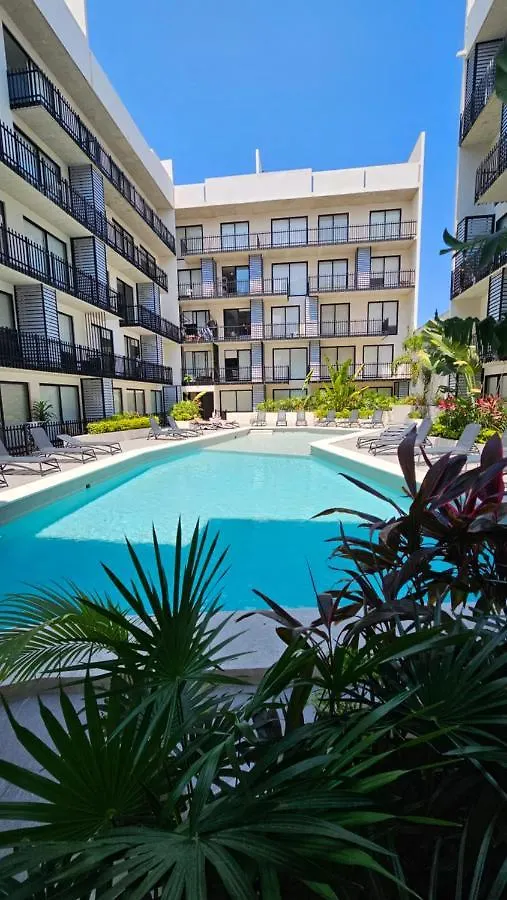 Fancy 3 Bedroom Apartments In Downtown Playa Rooftop Pool Gym Playa del Carmen