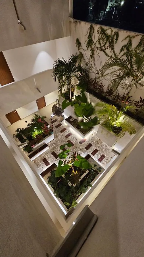 Fancy 3 Bedroom Apartments In Downtown Playa Rooftop Pool Gym Playa del Carmen