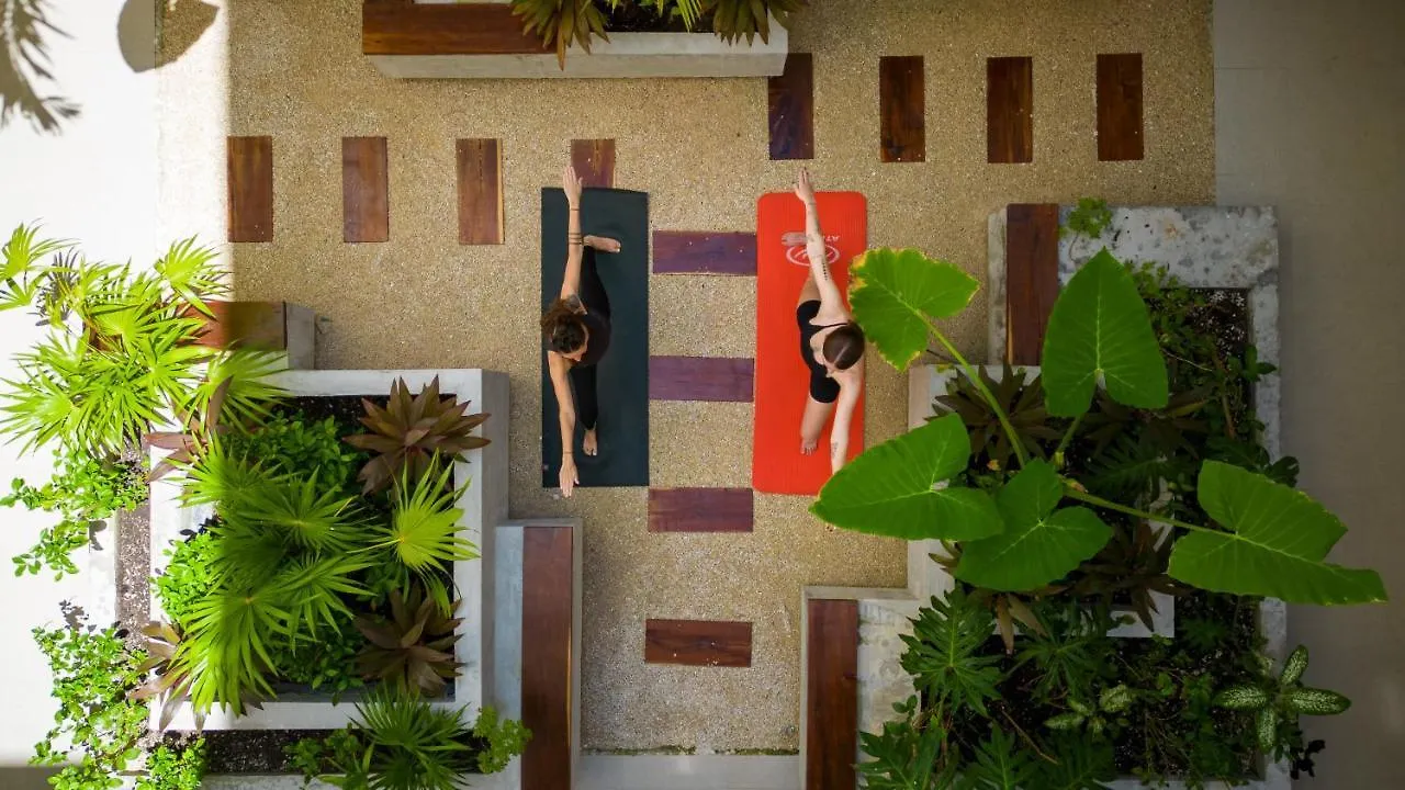 Fancy 3 Bedroom Apartments In Downtown Playa Rooftop Pool Gym Playa del Carmen
